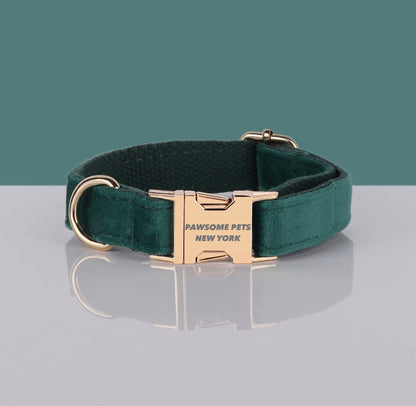 PAWSOME DOG COLLAR - #25