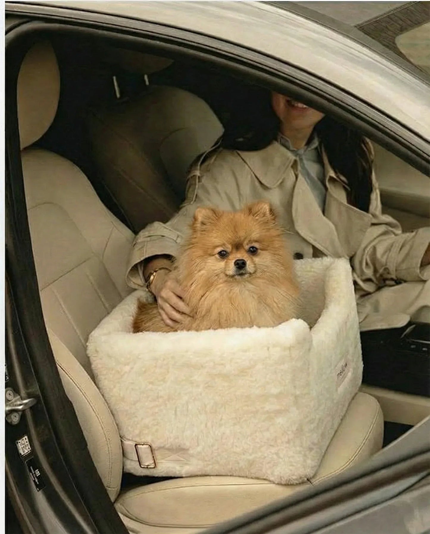 Natural Wool Dog Carrier - Beige