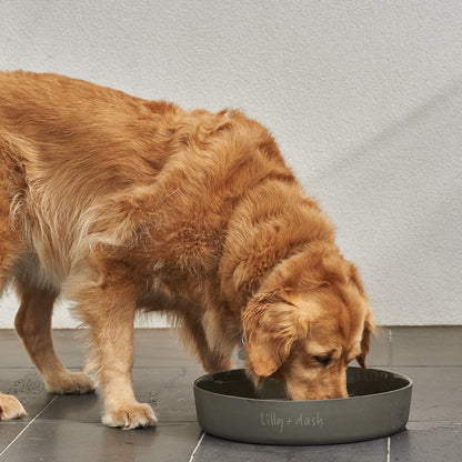 outdoor water bowls